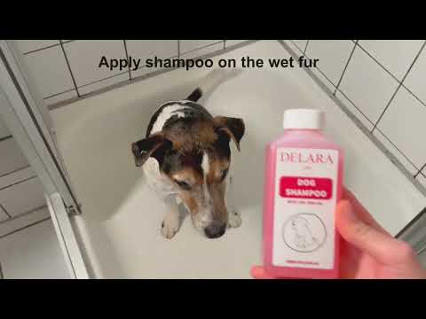 Shampoo per cani DELARA con olio di melaleuca